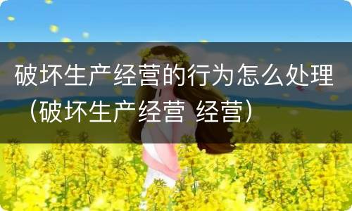 破坏生产经营的行为怎么处理（破坏生产经营 经营）