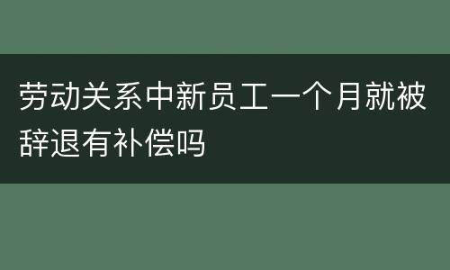 劳动关系中新员工一个月就被辞退有补偿吗
