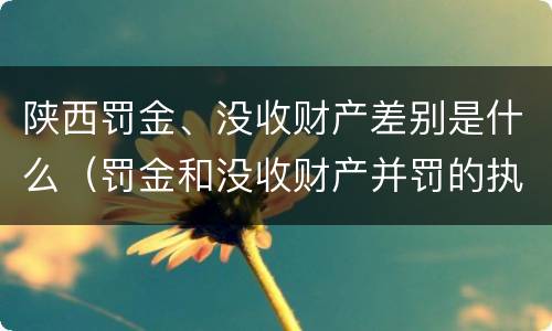 陕西罚金、没收财产差别是什么（罚金和没收财产并罚的执行顺序）