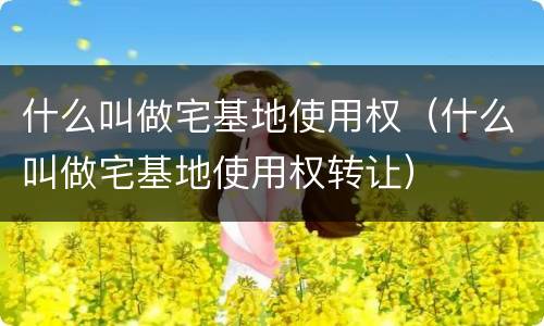 什么叫做宅基地使用权（什么叫做宅基地使用权转让）