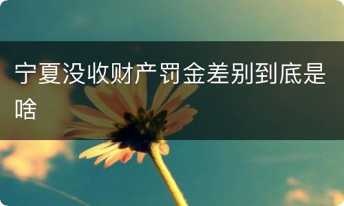宁夏没收财产罚金差别到底是啥