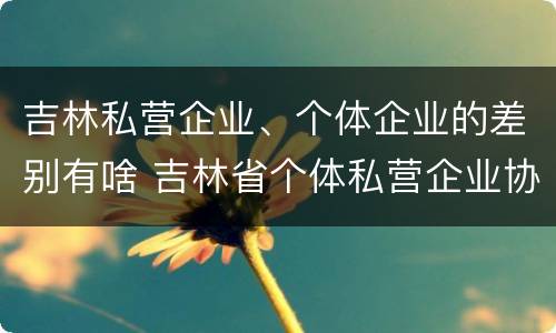 吉林私营企业、个体企业的差别有啥 吉林省个体私营企业协会
