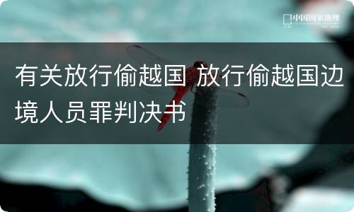 有关放行偷越国 放行偷越国边境人员罪判决书