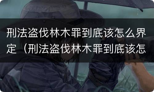 刑法盗伐林木罪到底该怎么界定（刑法盗伐林木罪到底该怎么界定呢）