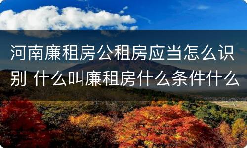河南廉租房公租房应当怎么识别 什么叫廉租房什么条件什么叫公租房