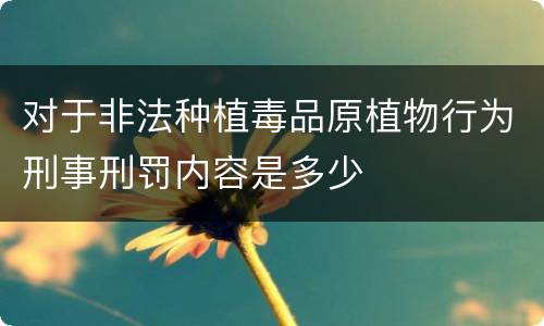 对于非法种植毒品原植物行为刑事刑罚内容是多少