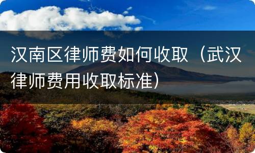 汉南区律师费如何收取（武汉律师费用收取标准）