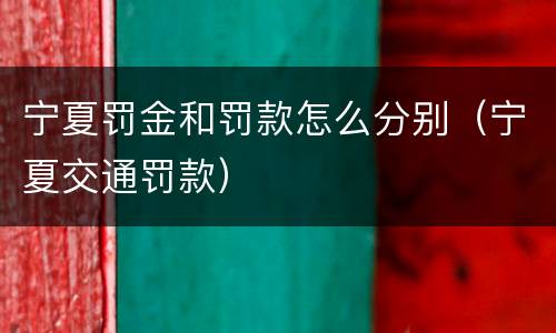 宁夏罚金和罚款怎么分别（宁夏交通罚款）