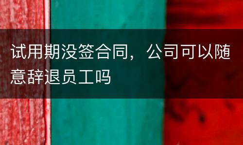 试用期没签合同，公司可以随意辞退员工吗