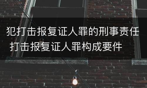 犯打击报复证人罪的刑事责任 打击报复证人罪构成要件