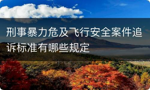刑事暴力危及飞行安全案件追诉标准有哪些规定