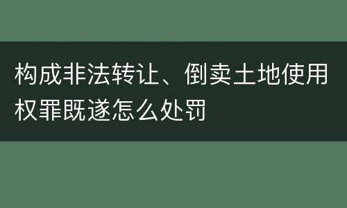 构成非法转让、倒卖土地使用权罪既遂怎么处罚