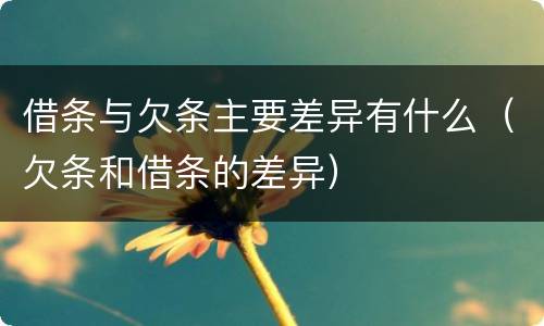 借条与欠条主要差异有什么（欠条和借条的差异）