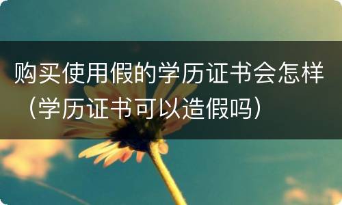 购买使用假的学历证书会怎样（学历证书可以造假吗）
