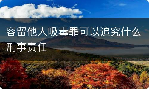 容留他人吸毒罪可以追究什么刑事责任