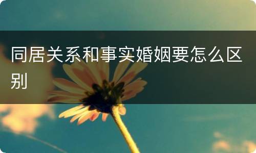同居关系和事实婚姻要怎么区别