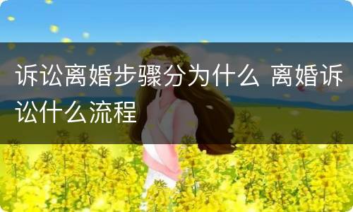 诉讼离婚步骤分为什么 离婚诉讼什么流程