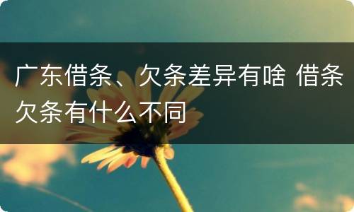 广东借条、欠条差异有啥 借条欠条有什么不同