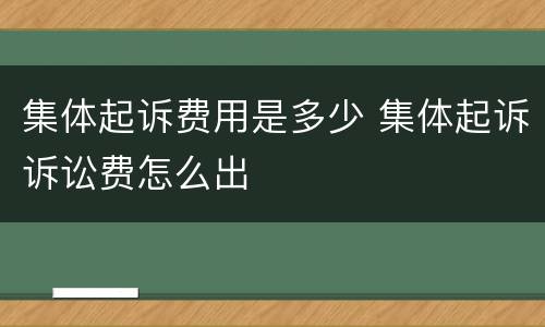 集体起诉费用是多少 集体起诉诉讼费怎么出