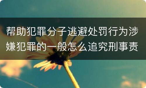 帮助犯罪分子逃避处罚行为涉嫌犯罪的一般怎么追究刑事责任