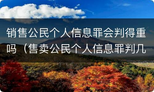 销售公民个人信息罪会判得重吗（售卖公民个人信息罪判几年）