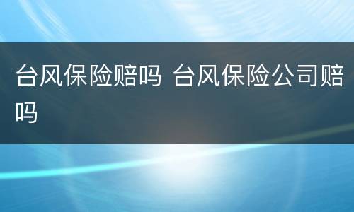 台风保险赔吗 台风保险公司赔吗