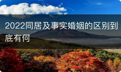 2022同居及事实婚姻的区别到底有何