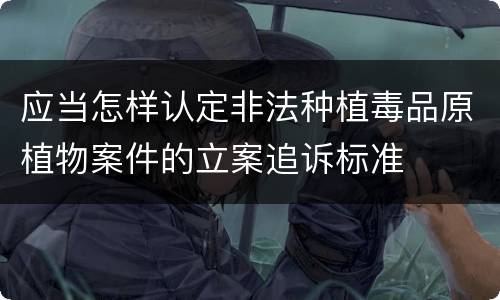 应当怎样认定非法种植毒品原植物案件的立案追诉标准