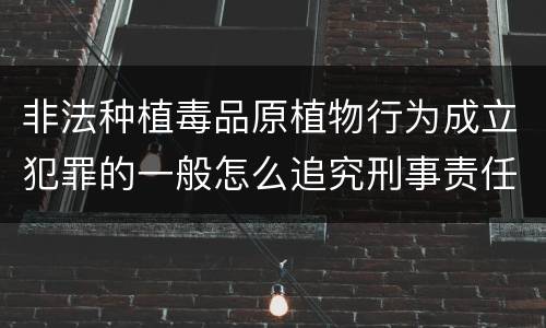 非法种植毒品原植物行为成立犯罪的一般怎么追究刑事责任