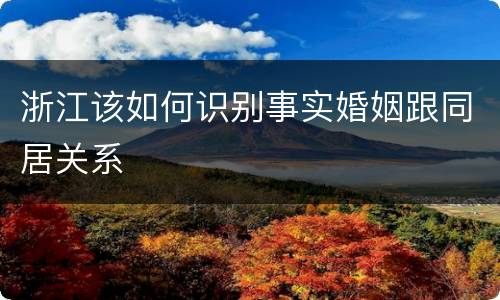 浙江该如何识别事实婚姻跟同居关系