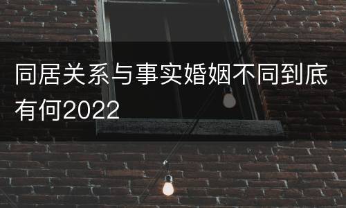 同居关系与事实婚姻不同到底有何2022