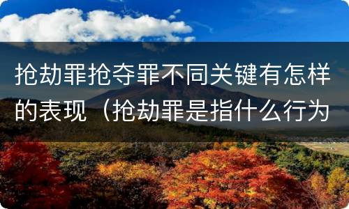 抢劫罪抢夺罪不同关键有怎样的表现（抢劫罪是指什么行为?）