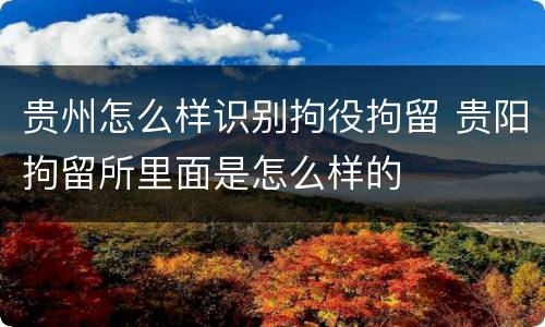 贵州怎么样识别拘役拘留 贵阳拘留所里面是怎么样的