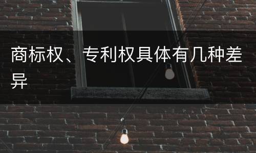 商标权、专利权具体有几种差异