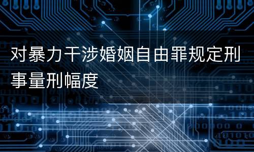 对暴力干涉婚姻自由罪规定刑事量刑幅度