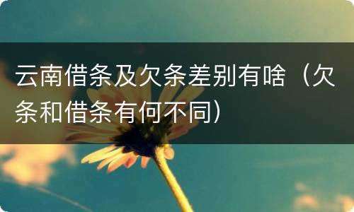 云南借条及欠条差别有啥（欠条和借条有何不同）