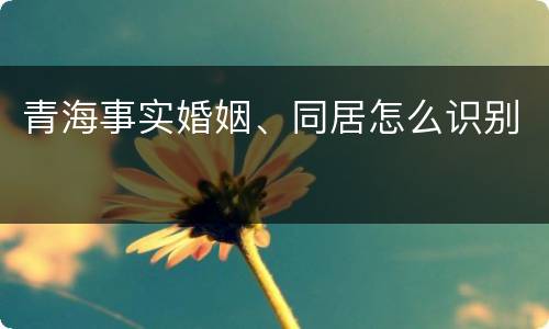 青海事实婚姻、同居怎么识别