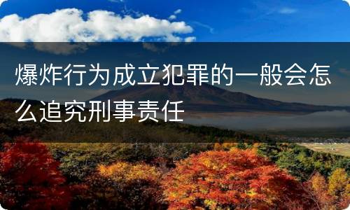 爆炸行为成立犯罪的一般会怎么追究刑事责任