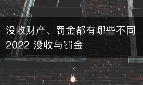 没收财产、罚金都有哪些不同2022 没收与罚金