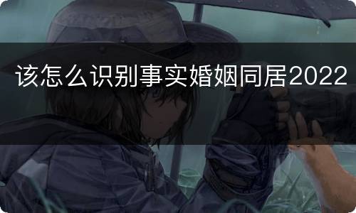 该怎么识别事实婚姻同居2022