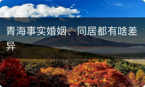 青海事实婚姻、同居都有啥差异