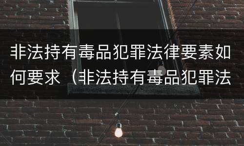非法持有毒品犯罪法律要素如何要求（非法持有毒品犯罪法律要素如何要求退赃）