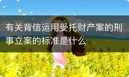 有关背信运用受托财产案的刑事立案的标准是什么