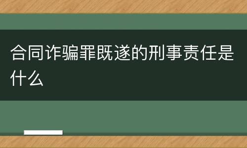 合同诈骗罪既遂的刑事责任是什么