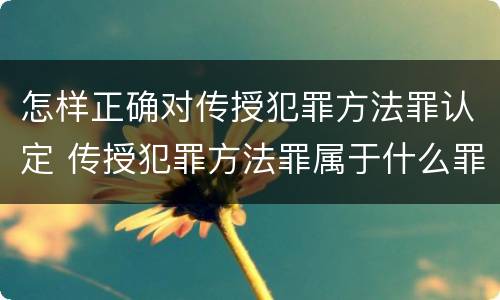 怎样正确对传授犯罪方法罪认定 传授犯罪方法罪属于什么罪