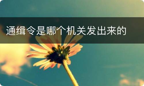 通缉令是哪个机关发出来的