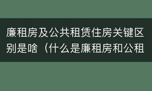廉租房及公共租赁住房关键区别是啥（什么是廉租房和公租房两个有什么特点）