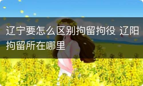辽宁要怎么区别拘留拘役 辽阳拘留所在哪里