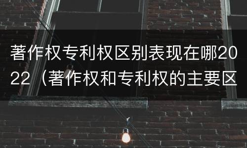 著作权专利权区别表现在哪2022（著作权和专利权的主要区别）