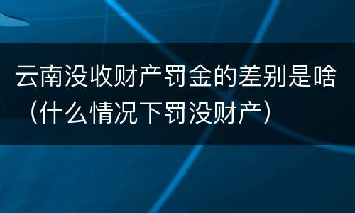 云南没收财产罚金的差别是啥（什么情况下罚没财产）